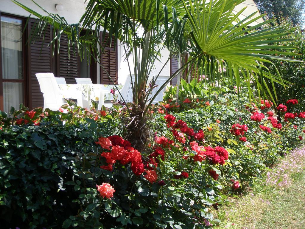 Apartments Barbara بوريتش المظهر الخارجي الصورة