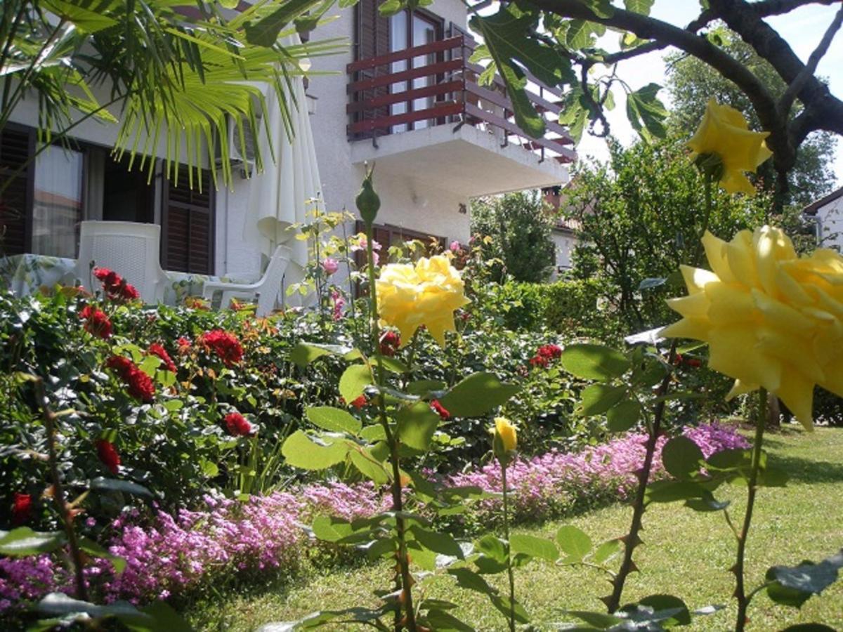 Apartments Barbara بوريتش المظهر الخارجي الصورة